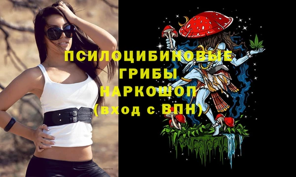 мдпв Армянск