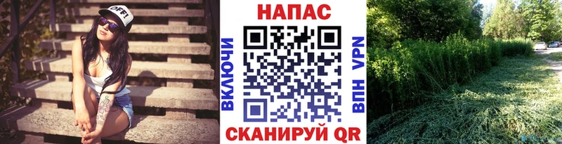 Шишки марихуана гибрид  Бабаево 